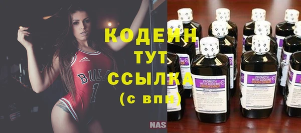 гидра Нея