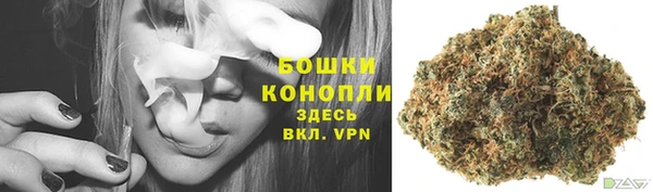 гидра Нея