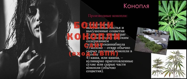 гидра Нея