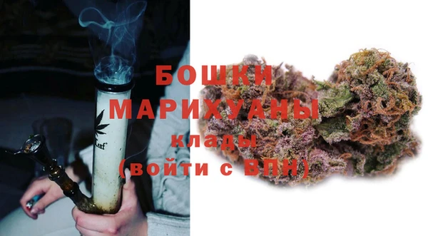 гидра Нея