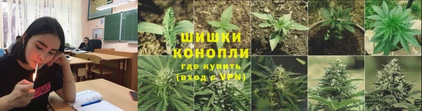 спайс Нефтекумск