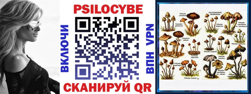 Псилоцибиновые грибы Psilocybine cubensis  Полтавская 